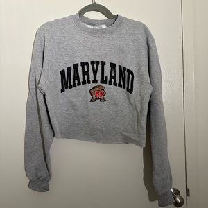 Grey Maryland Cropped Sweatshirt